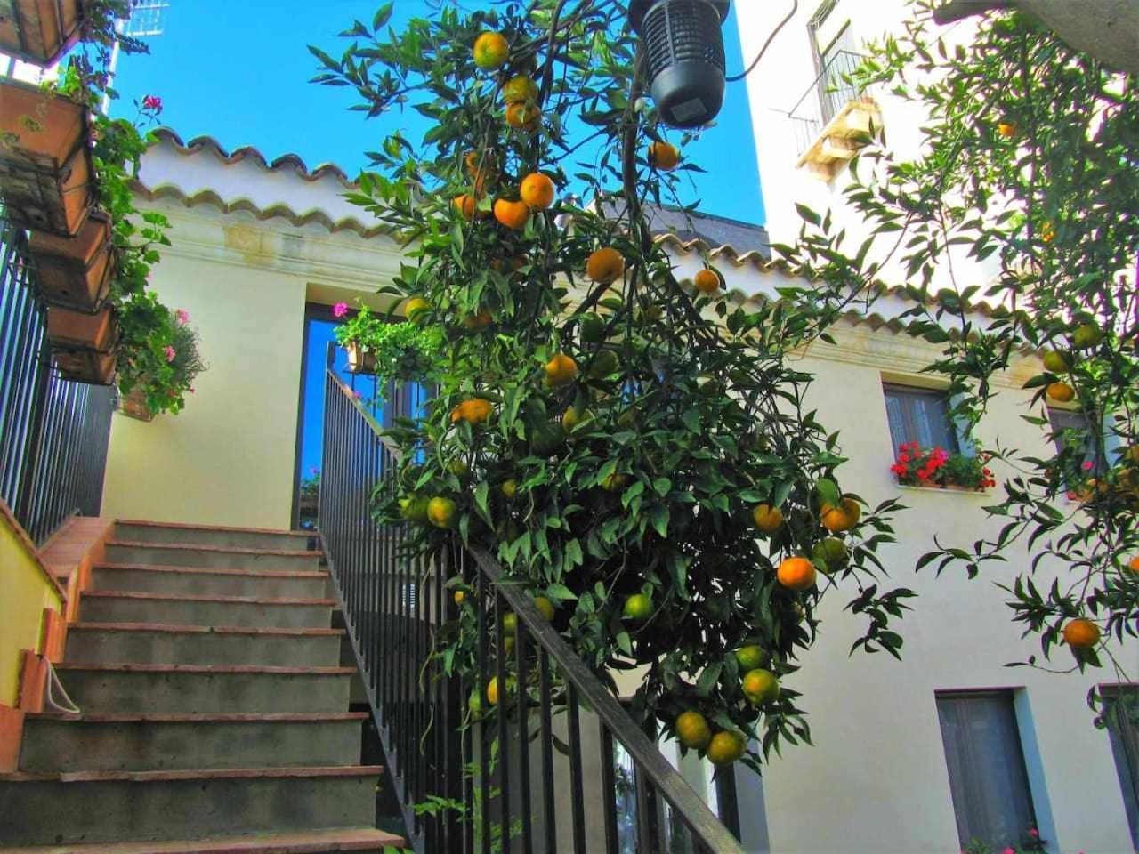 B&B Comeinsicily Cortedeilimoni Charming & Relax Acireale Habitación foto